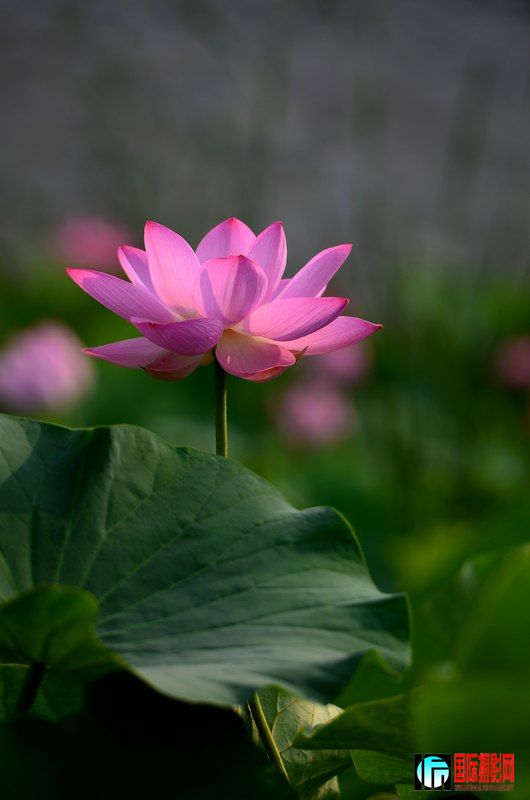 DSC_8968.jpg