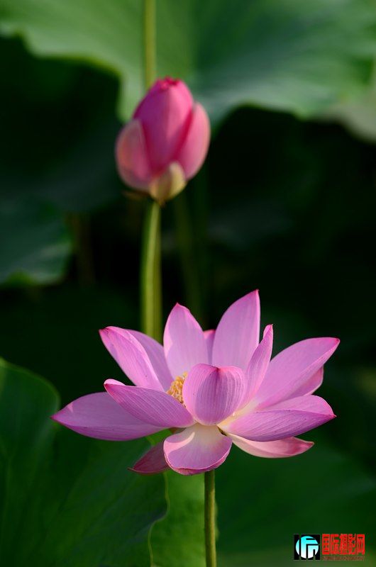 DSC_8958.jpg