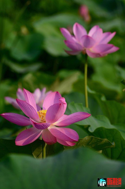 DSC_8990.jpg