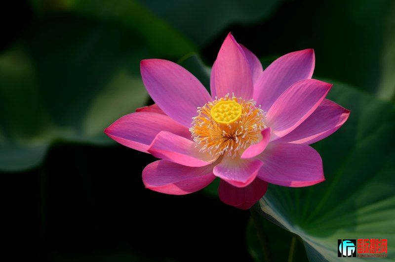 DSC_8948.jpg