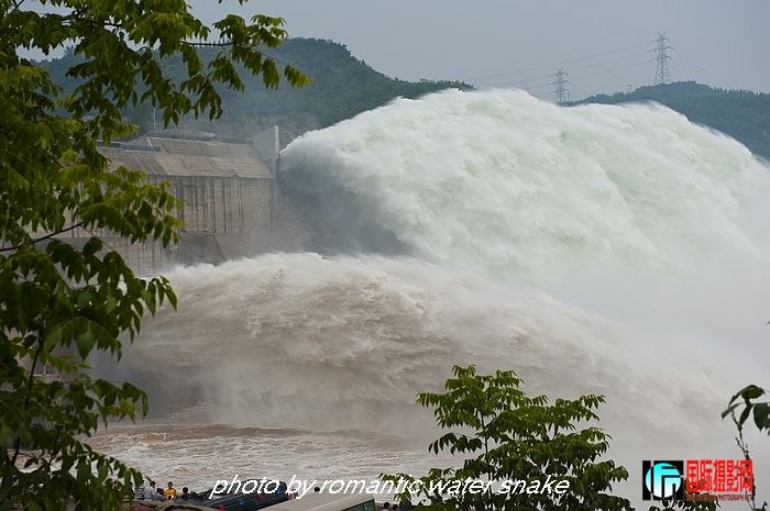 DSC_1664.jpg