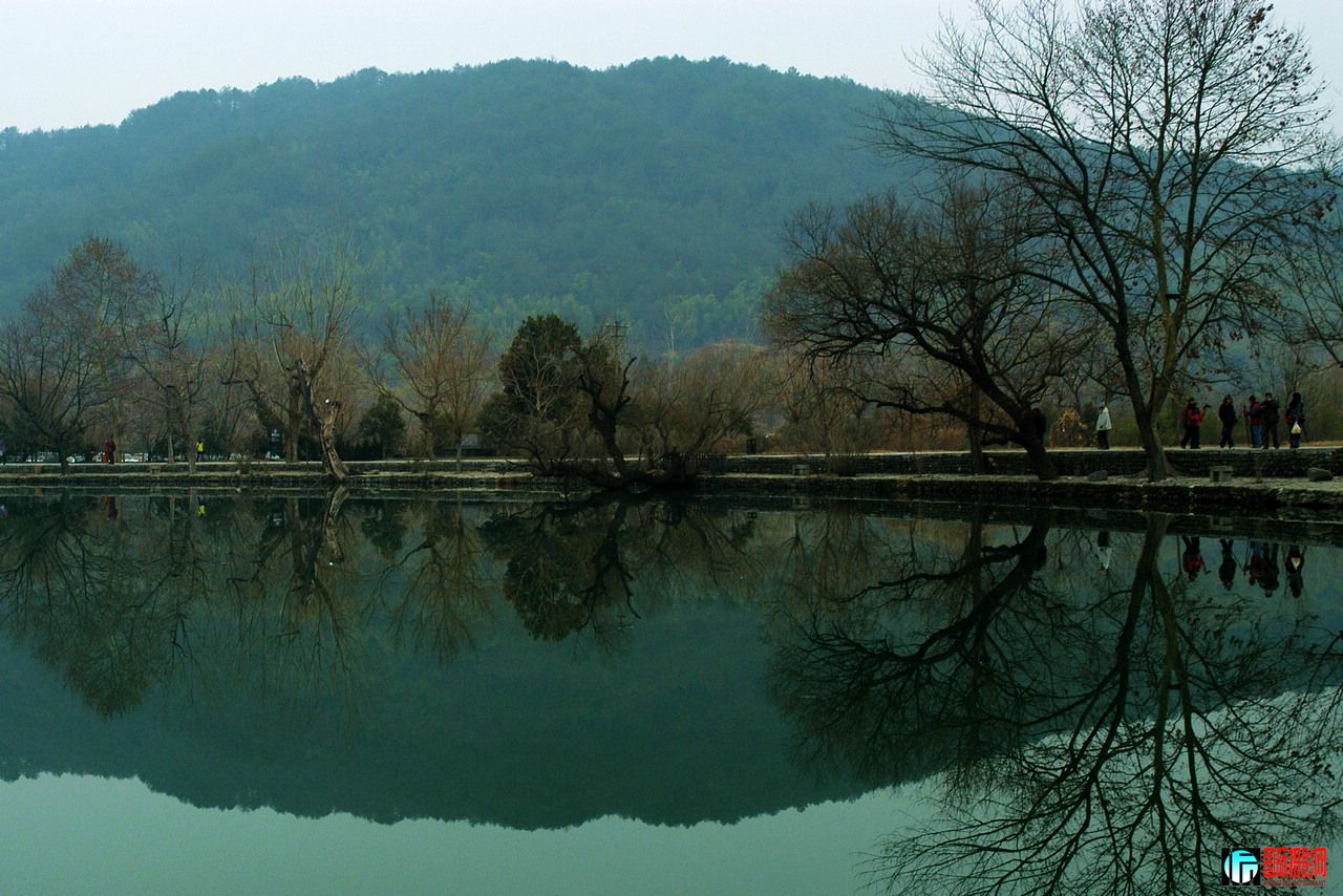 DSC_0605ӳȤ11280.jpg