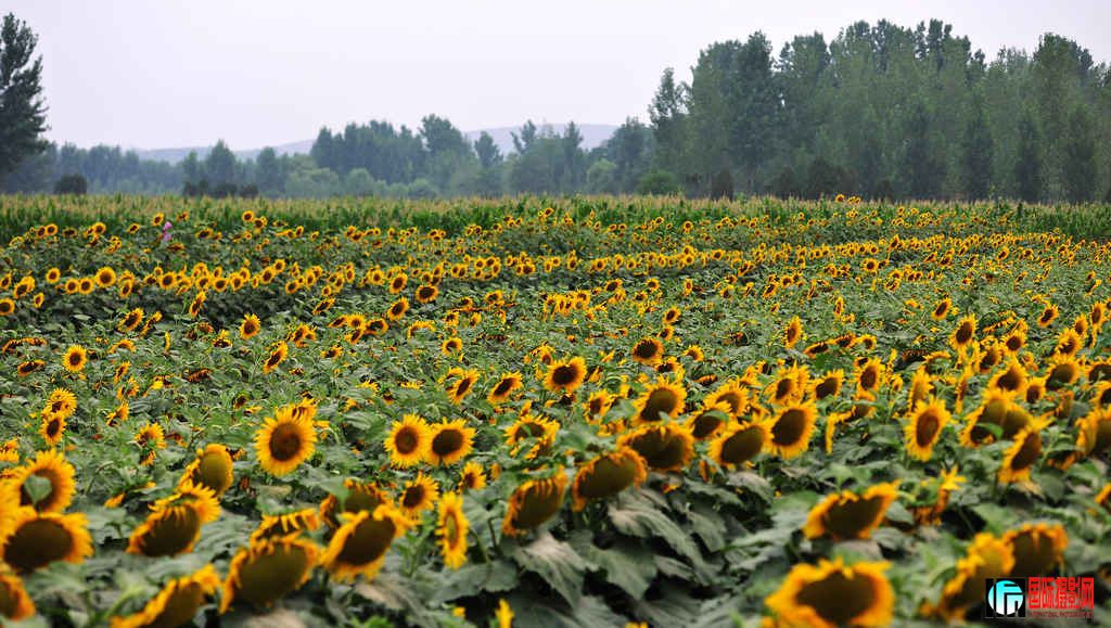 NiKonD3X JPG2012623աڡտ 097.jpg
