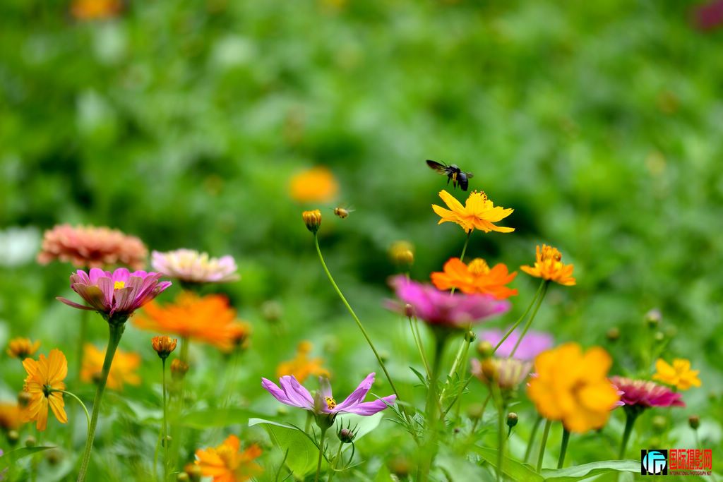 _DSC87881024.jpg