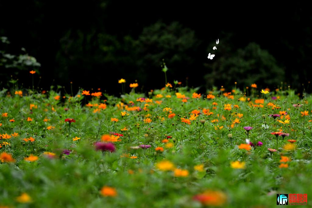 _DSC87501024.jpg