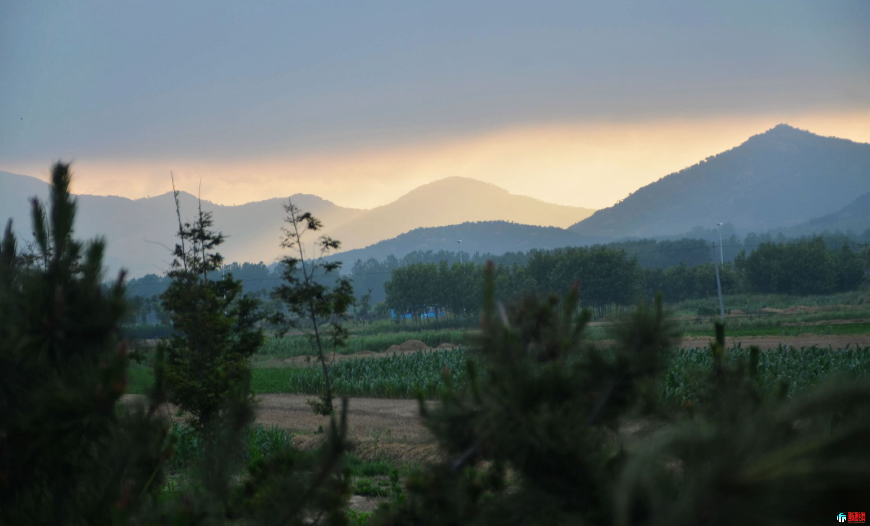 DSC_1571.JPG