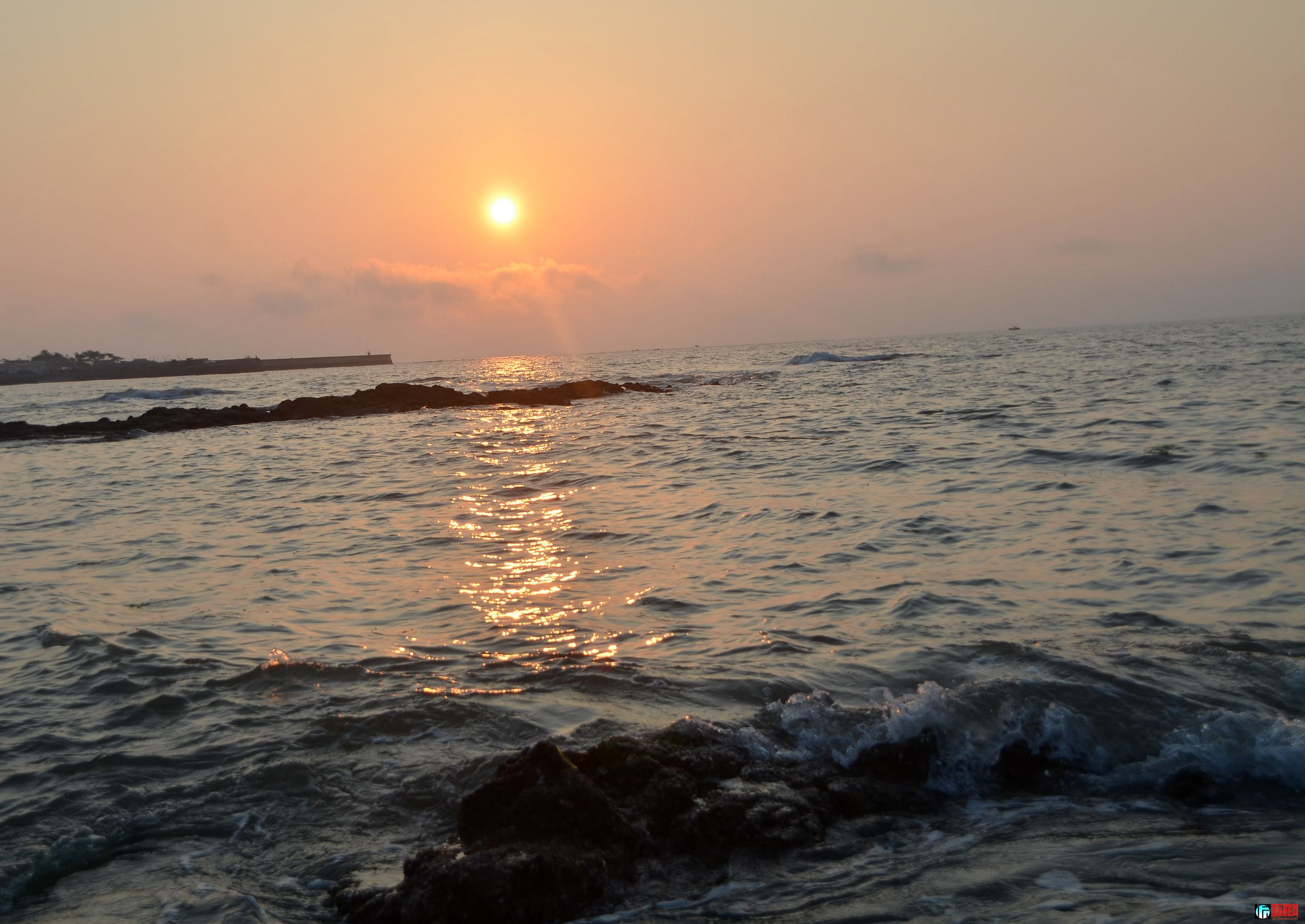 DSC_1598.JPG