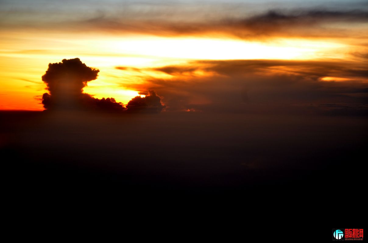 DSC_0769.jpg