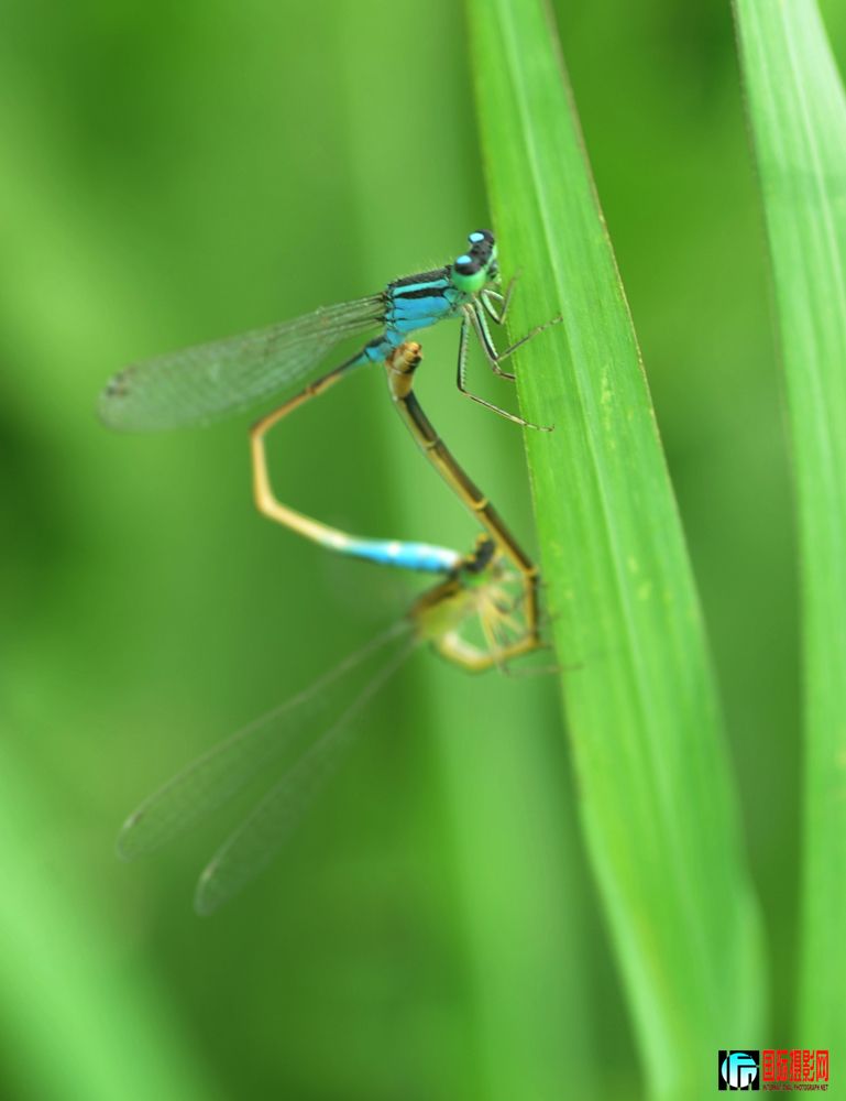 DSC_1675.JPG