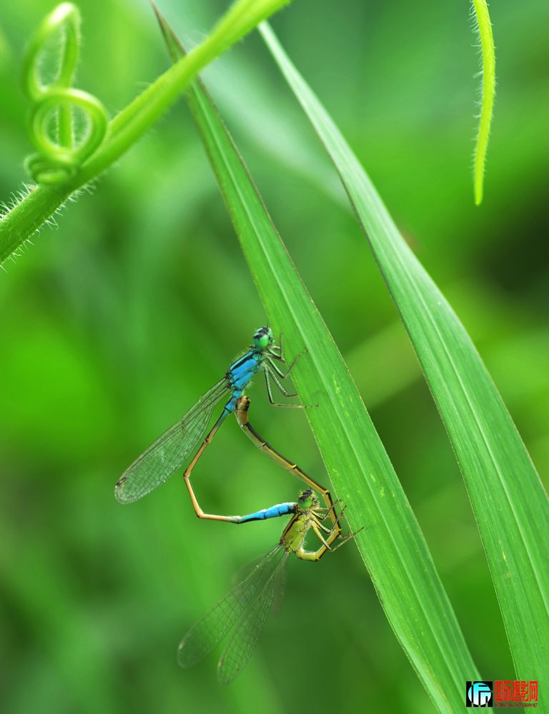 DSC_1676.JPG