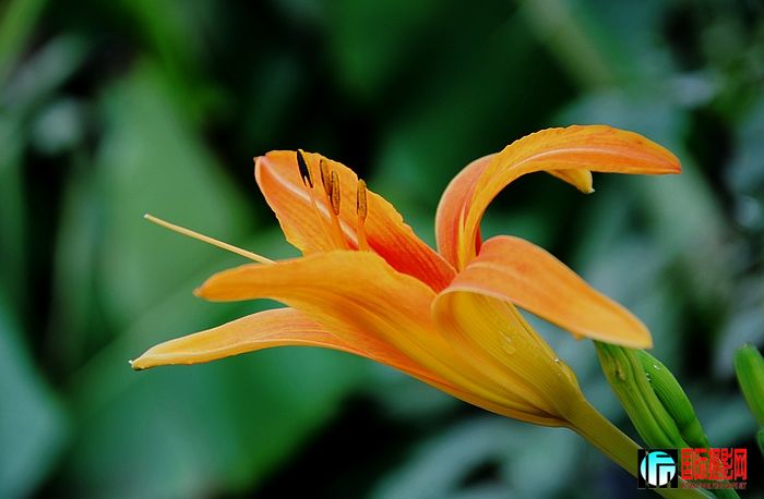 DSC_0126.JPG