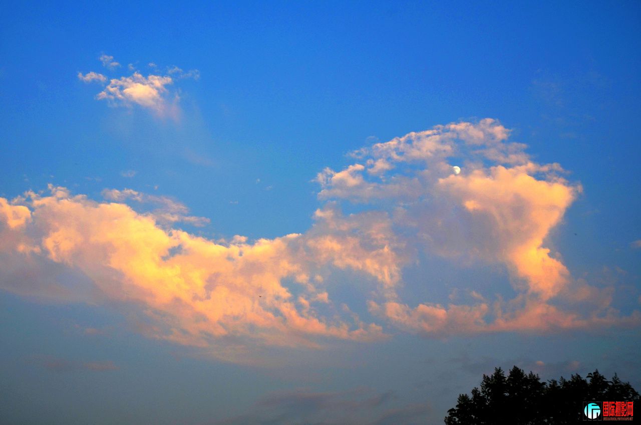 _DSC9540ʨ죩1280.jpg