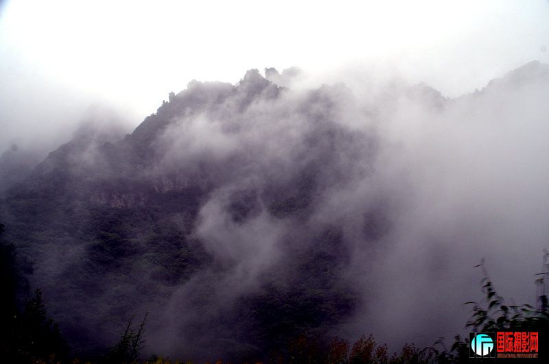DSC_0221.jpg