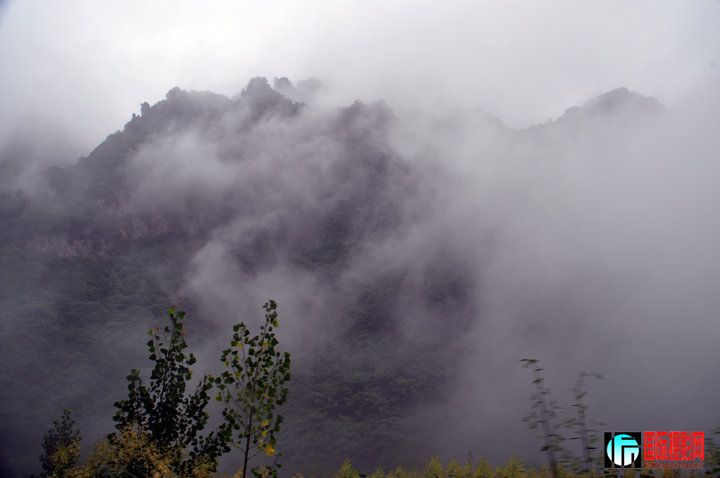 DSC_0222.jpg