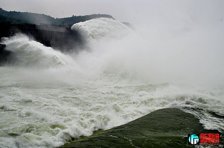 DSC_0698.jpg