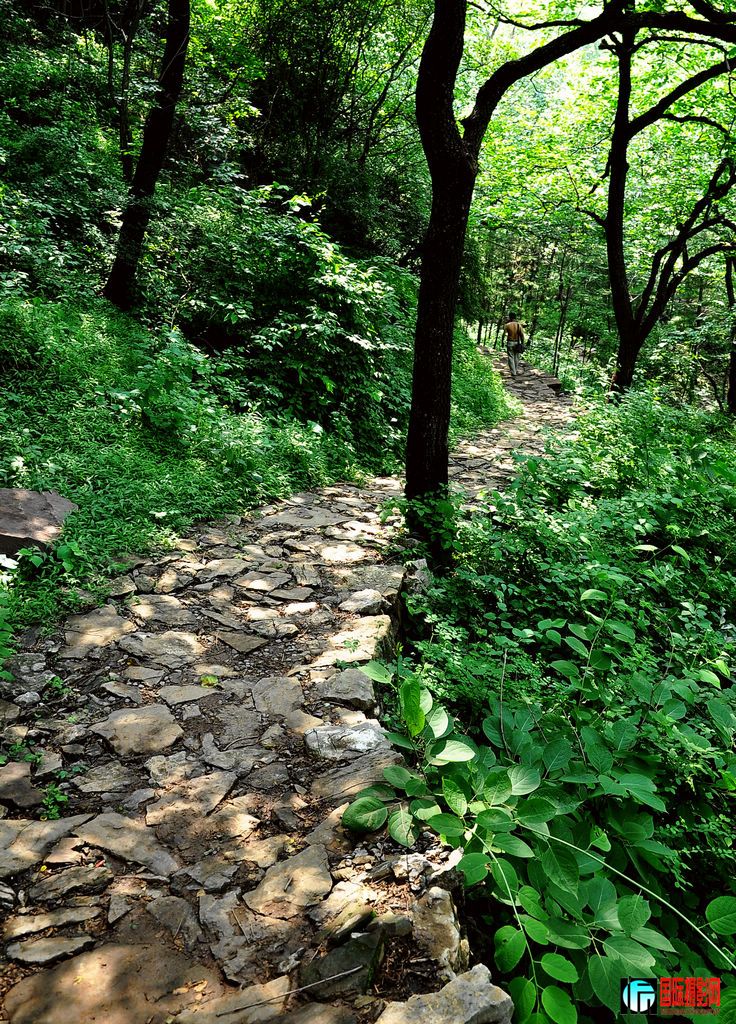 DSC_0712_14948.jpg