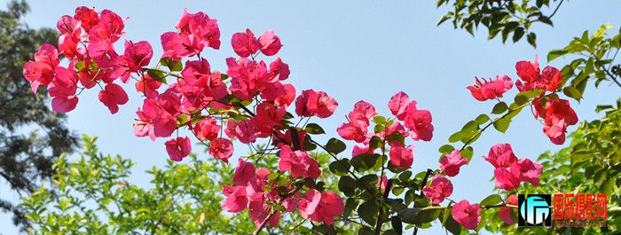 DSC_0931_2.jpg