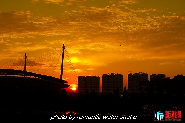 DSC_2450.jpg