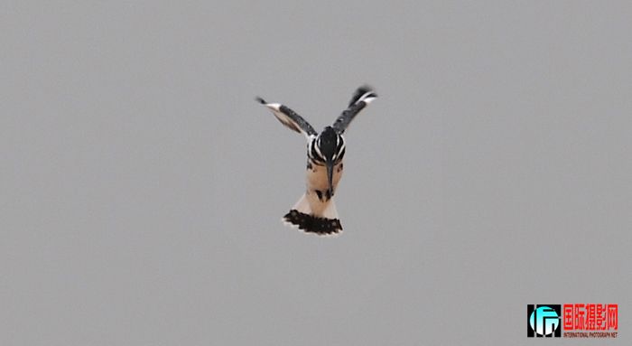 DSC_1575.JPG