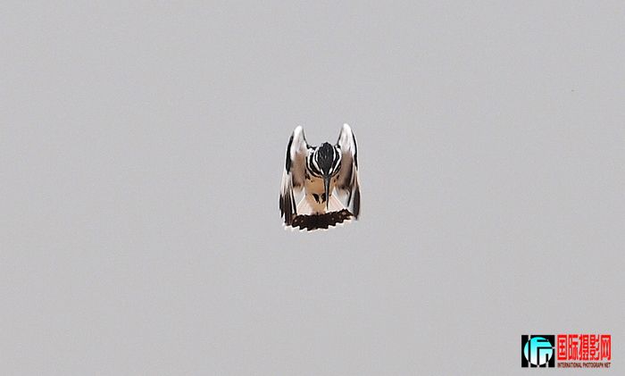 DSC_1573.JPG