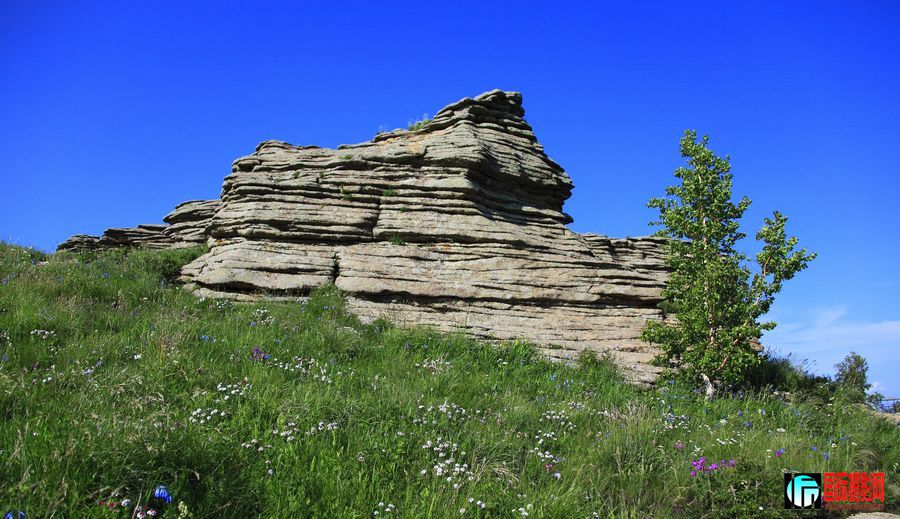 _MG_6395.jpg