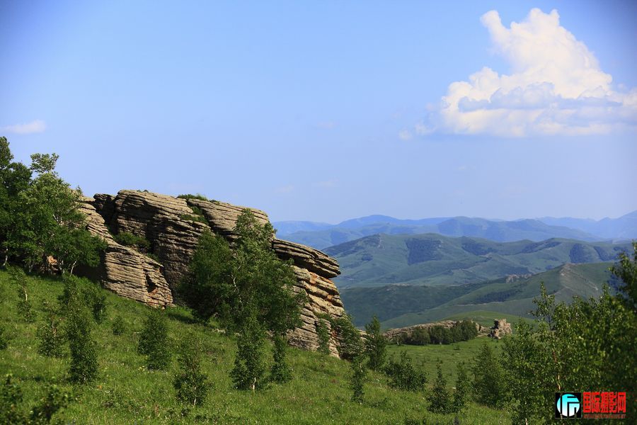 _MG_6341.jpg
