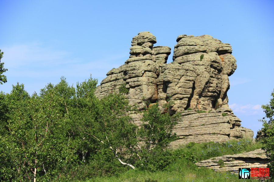 _MG_6419.jpg