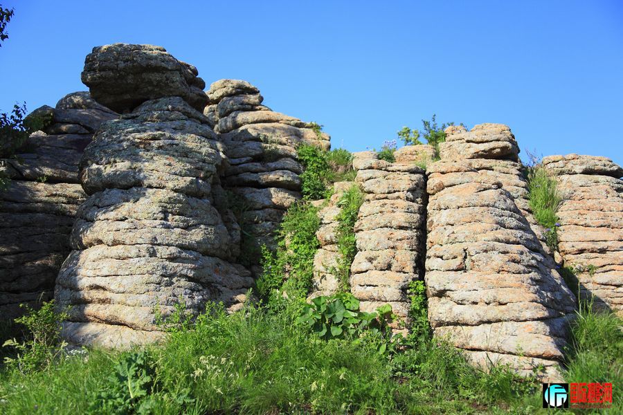 _MG_6507.jpg