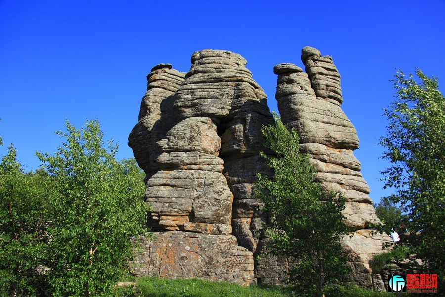 _MG_6499.jpg