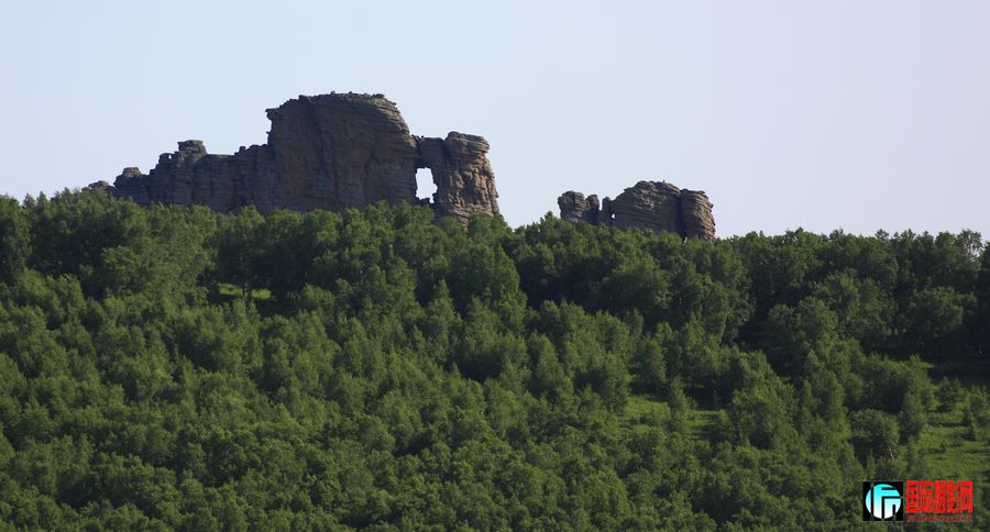 _MG_6463.jpg