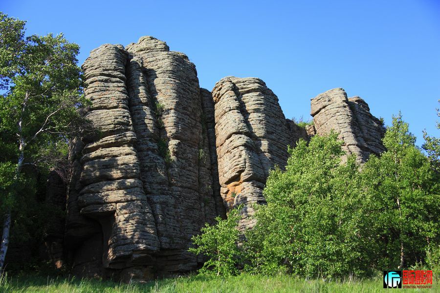 _MG_6465.jpg