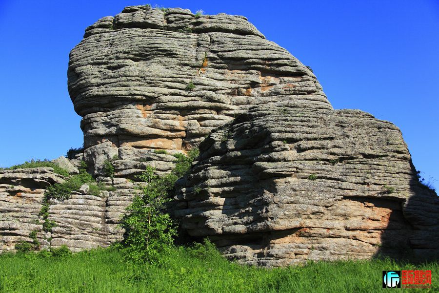 _MG_6451.jpg