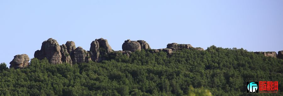 _MG_6464.jpg