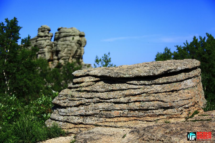 _MG_6423.jpg