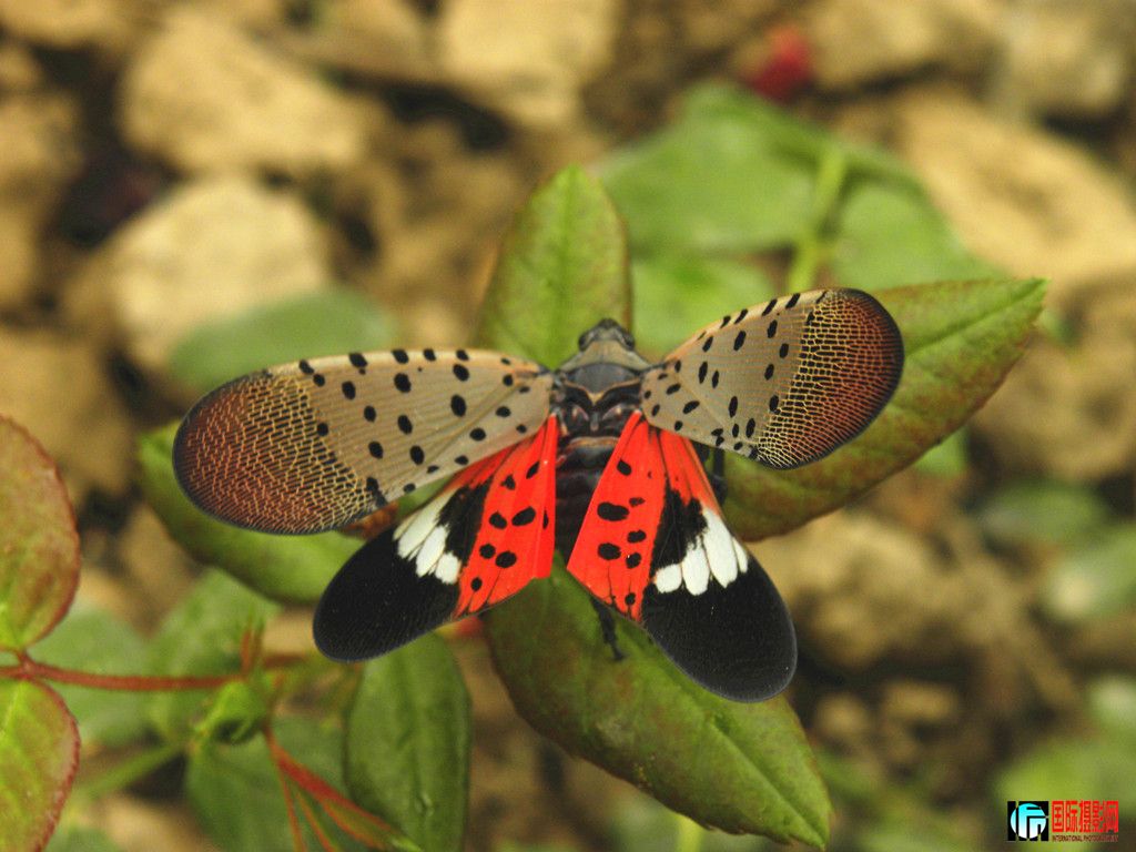 DSCN8835_.jpg