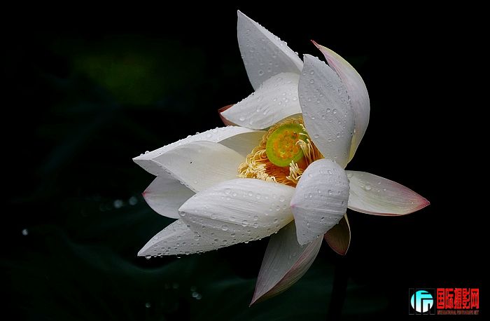 DSC_0009.JPG