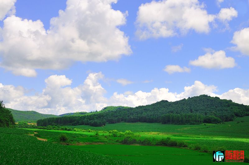 DSC_6969.jpg