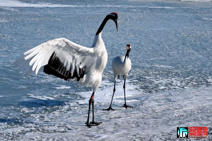 DSC_0037.jpg