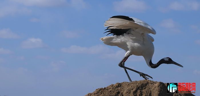 DSC_1403.jpg