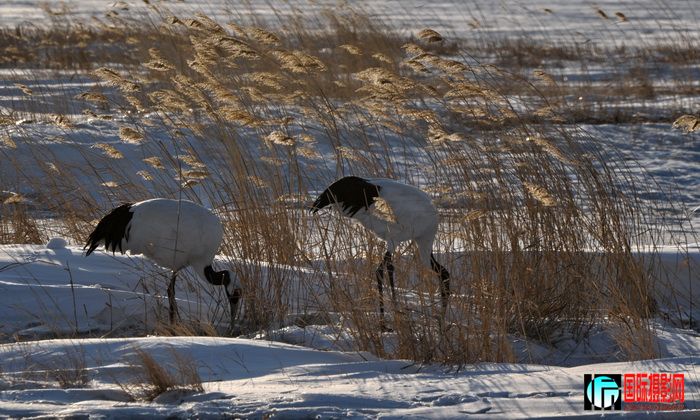 DSC_1883.jpg