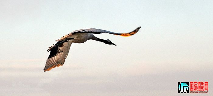 DSC_3146.jpg