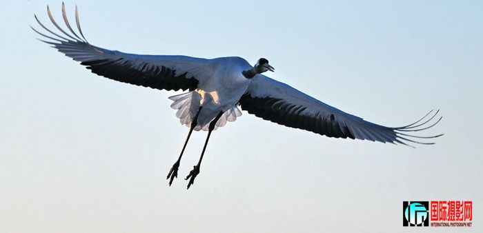 DSC_3141.jpg
