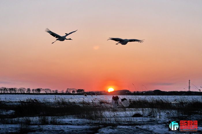 DSC_3251.jpg