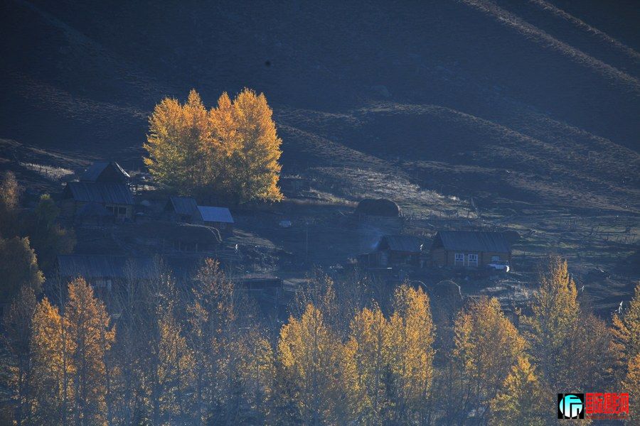_MG_4062.jpg