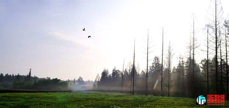 DSC_8204.jpg