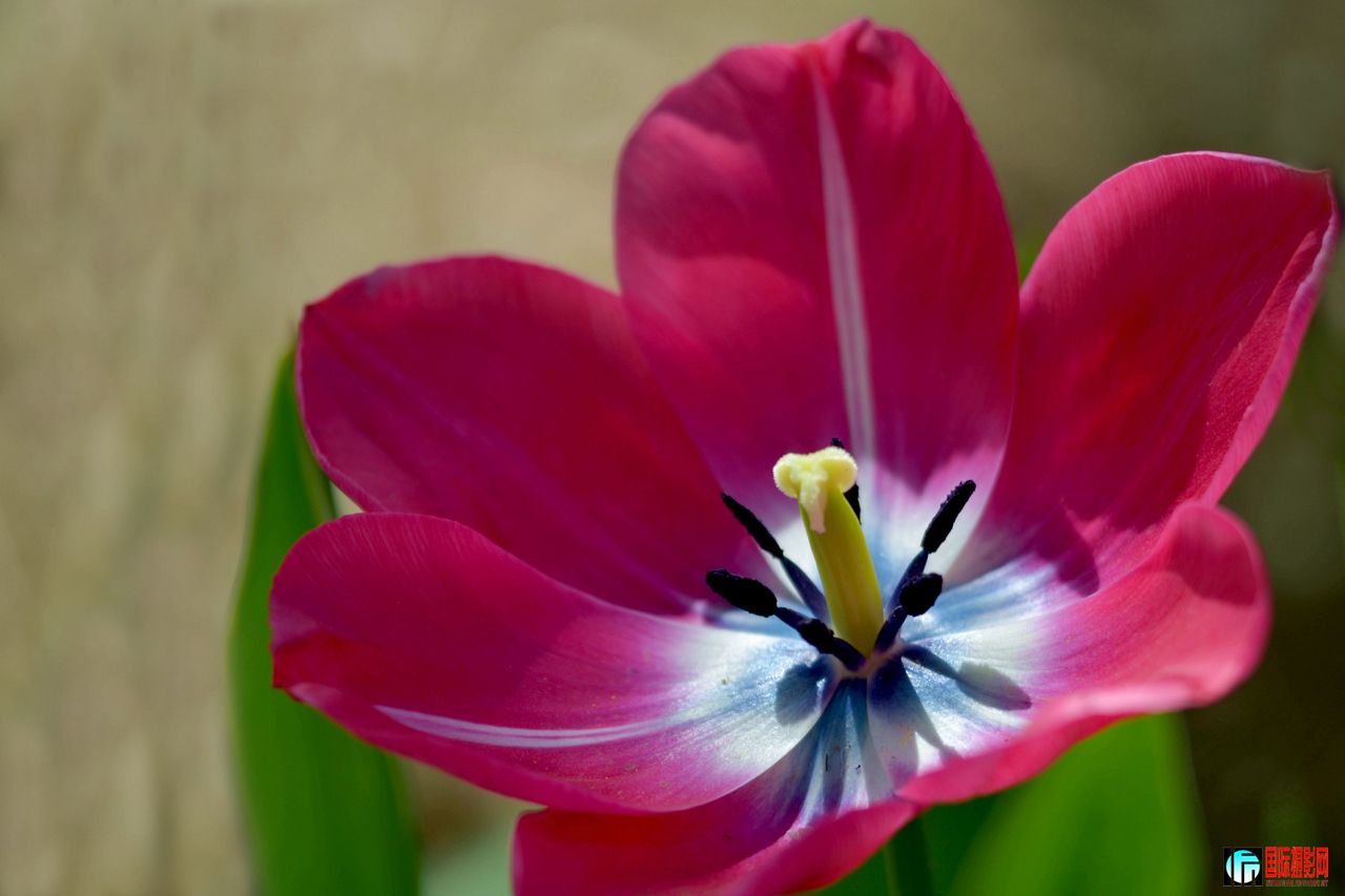 DSC_8541ȸ1280.jpg