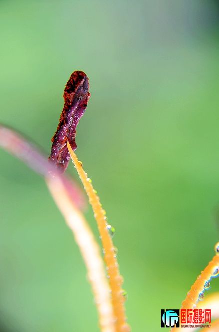 DSC_0020.JPG