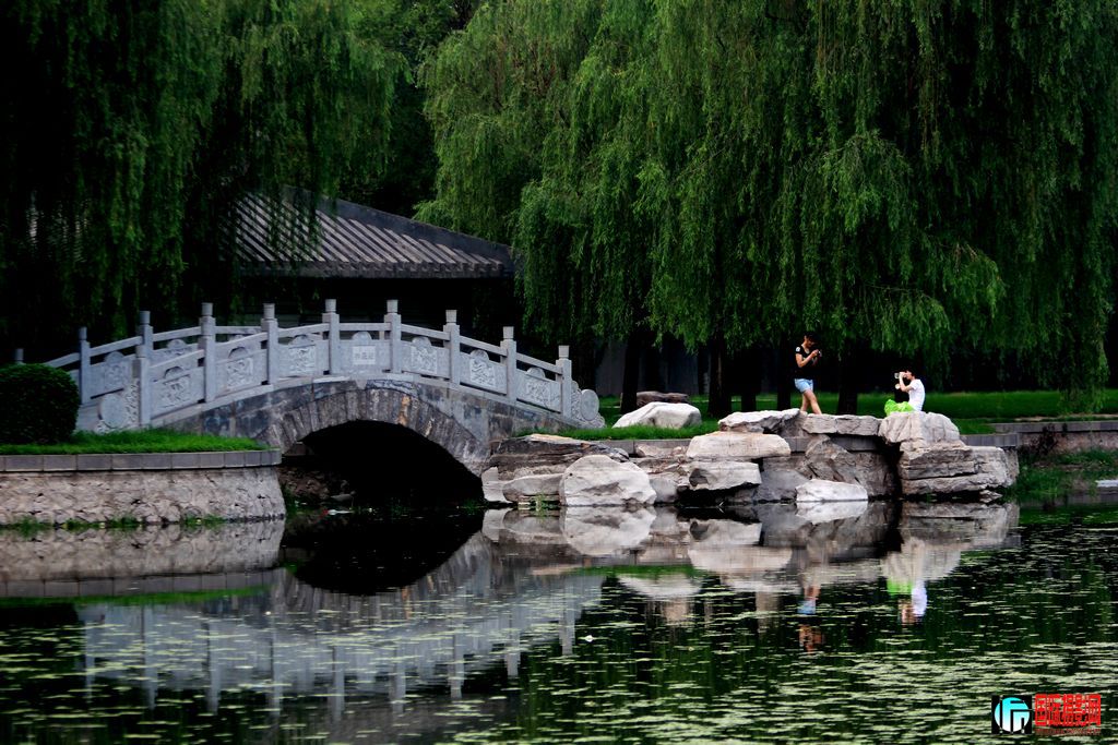 赵苑小景.jpg