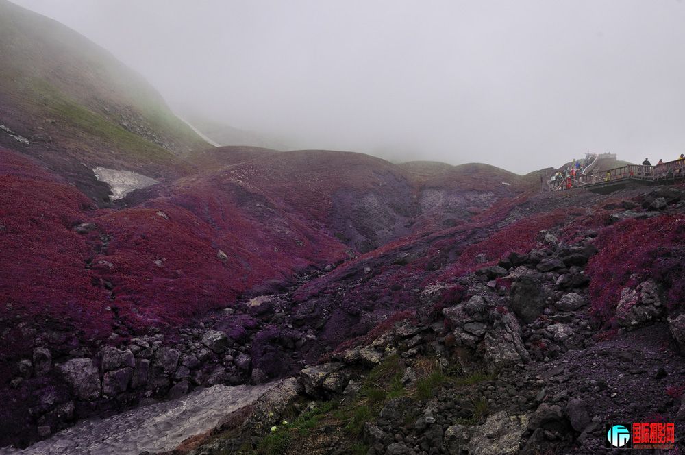 DSC_8388.jpg
