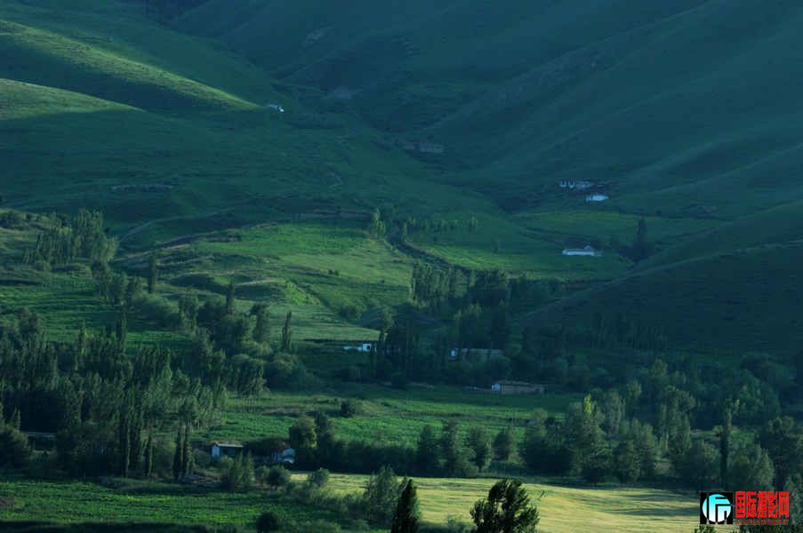 DSC_0165.jpg
